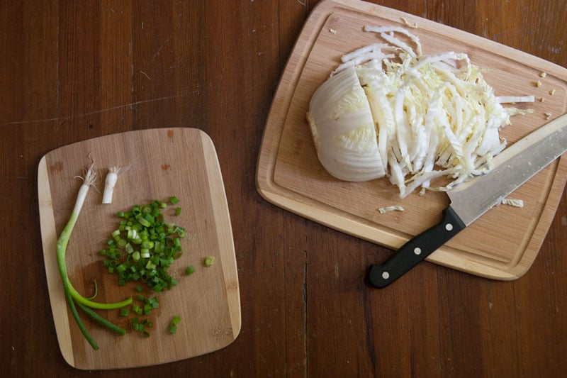 Potsticker Nachos with Baked Sesame Ginger Wonton Chips | Enjoy the juicy, gingery gyoza filling in a crunchy, fun, easy-to-share format. These Asian-inspired nachos are sure to be a hit! | www.pinchmeimeating.com