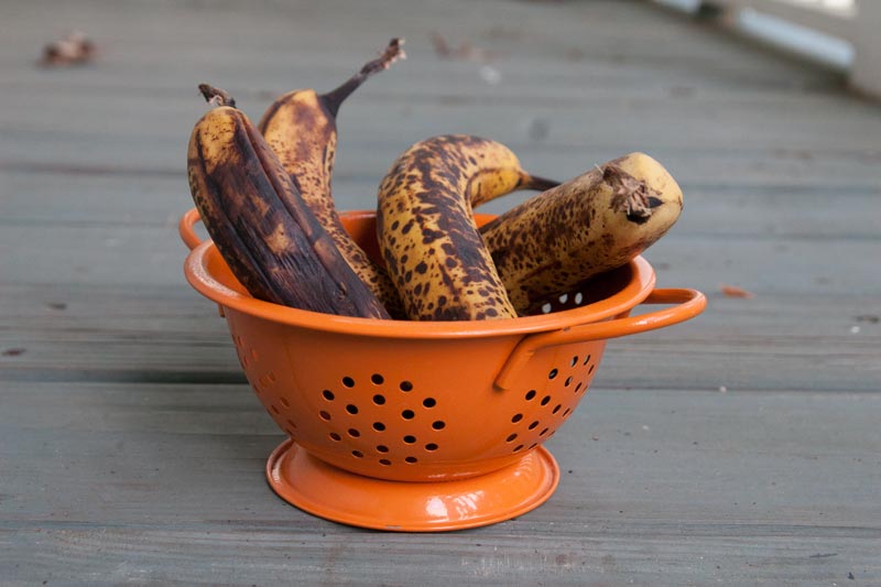 The moistest, meltiest, most delicious chocolate chip banana nut bread you'll ever taste. In the oven in only 20 minutes, and it's great for breakfast AND dessert! | www.pinchmeimeating.com