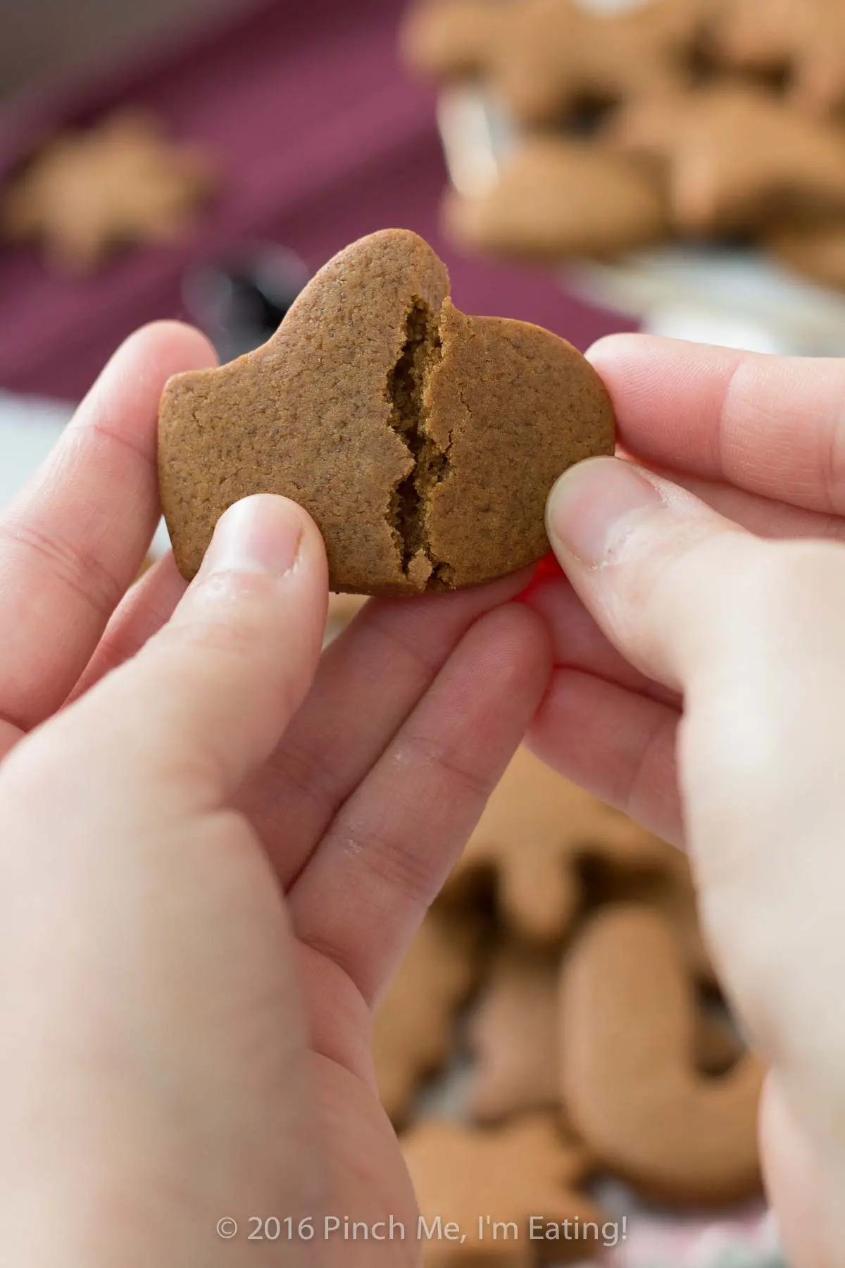 Hands breaking apart chewy gingerbread cookie to show soft texture