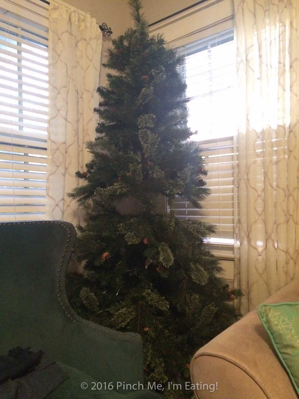 Christmas tree with gap around middle from where cats have been sitting