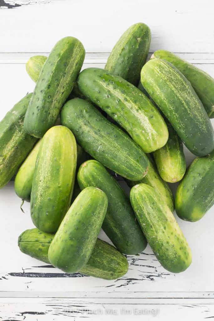 Pile of fresh Kirby pickling cucumbers on white distressed board
