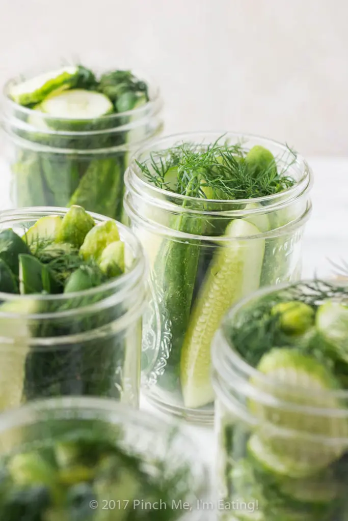 Open jars of fresh refrigerator dill pickle spears stuffed with fresh dill