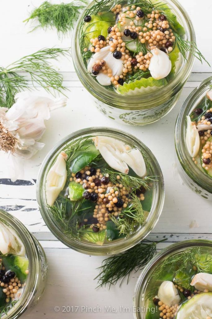 Overhead view of open jars of fresh refrigerator dill pickles topped with pickling spices and fresh dill