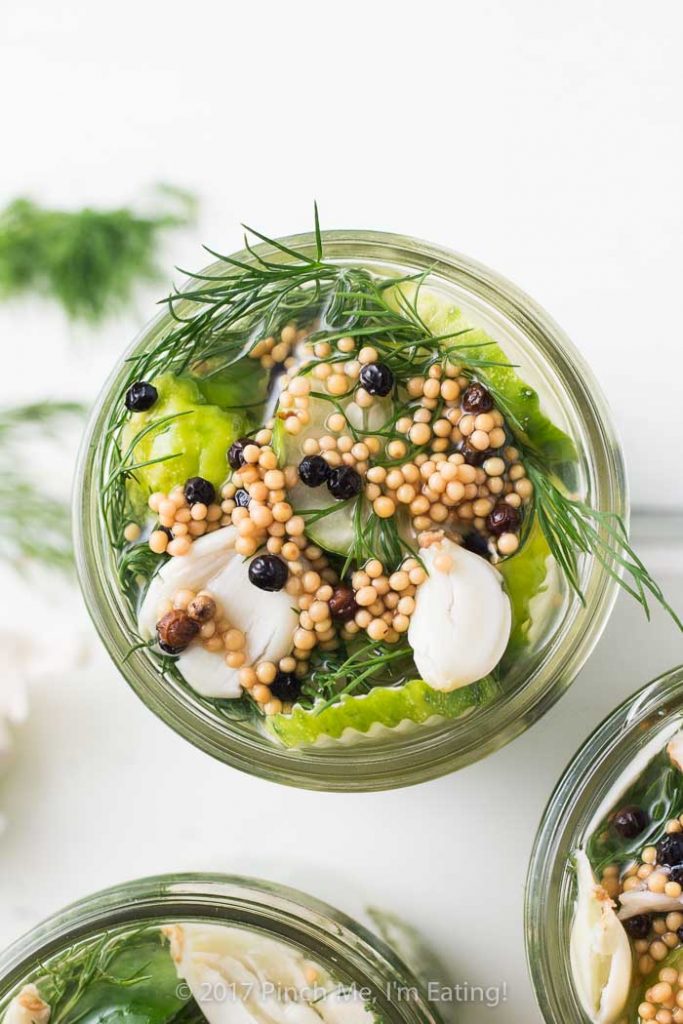 Closeup overhead view of open jars of fresh refrigerator dill pickles topped with pickling spices and fresh dill