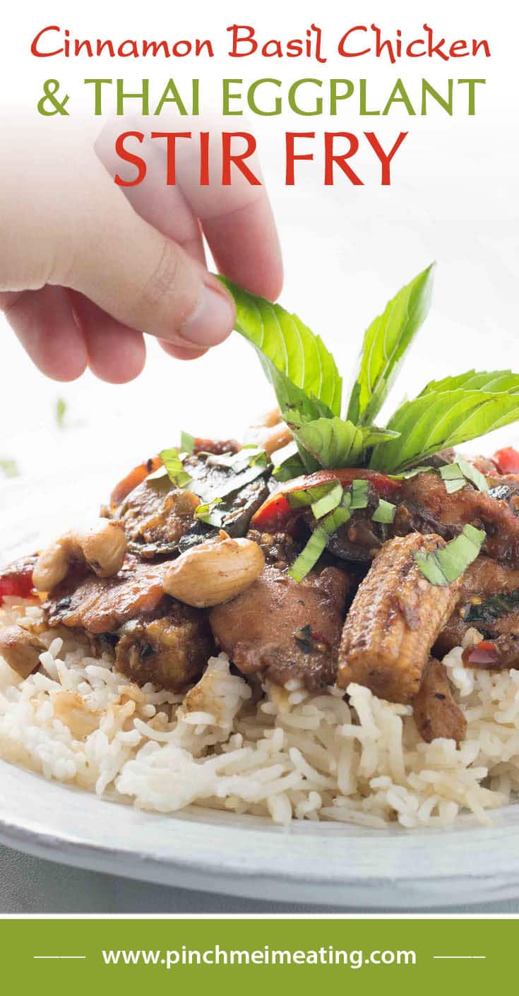 Cinnamon Basil Chicken and Thai Eggplant Stir Fry Pinch me, I'm eating!