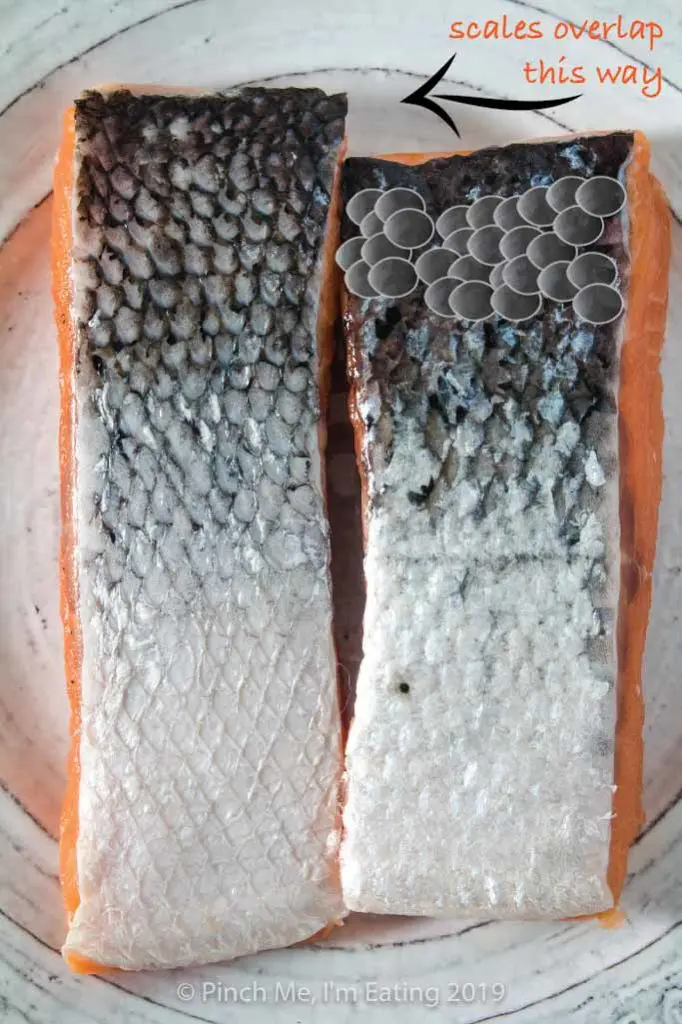 Diagram of scales overlapping on a salmon fillet