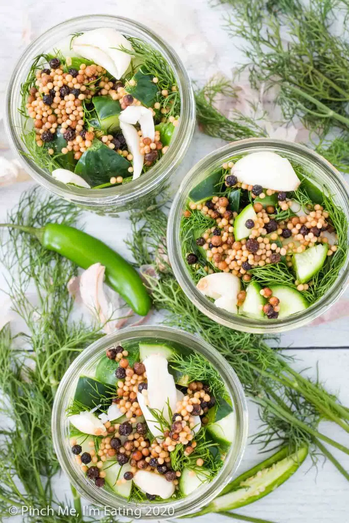 Overhead view of three jars of spicy refrigerator dill pickles with fresh dill and serrano peppers. Jars are topped with garlic and pickling spices.