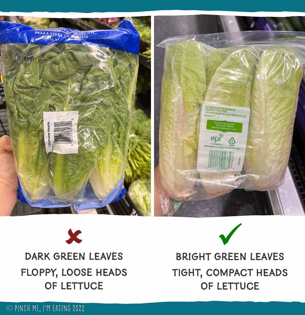 Comparison of two bags of romaine hearts showing how to choose firm, compact heads of lettuce for grilling romaine.