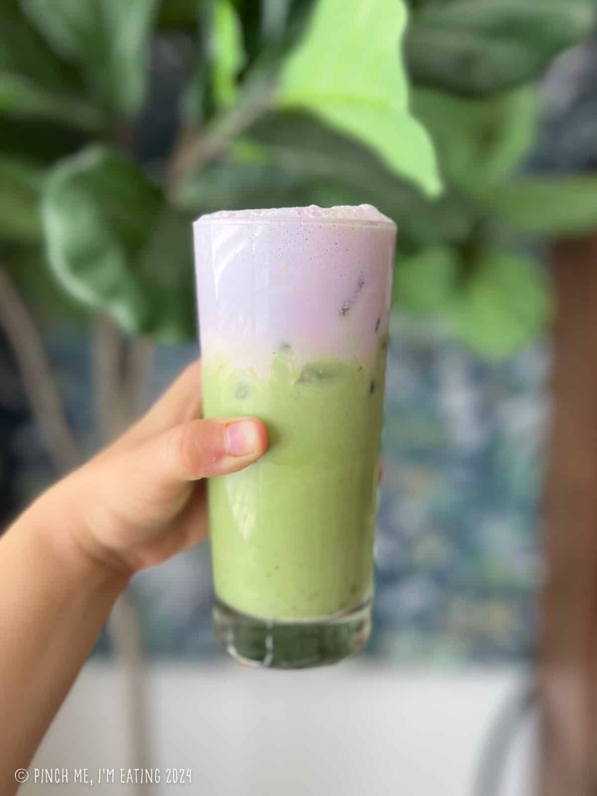 A hand holding a Starbucks copycat iced lavender cream oatmilk matcha latte in front of a tree and floral wallpaper.