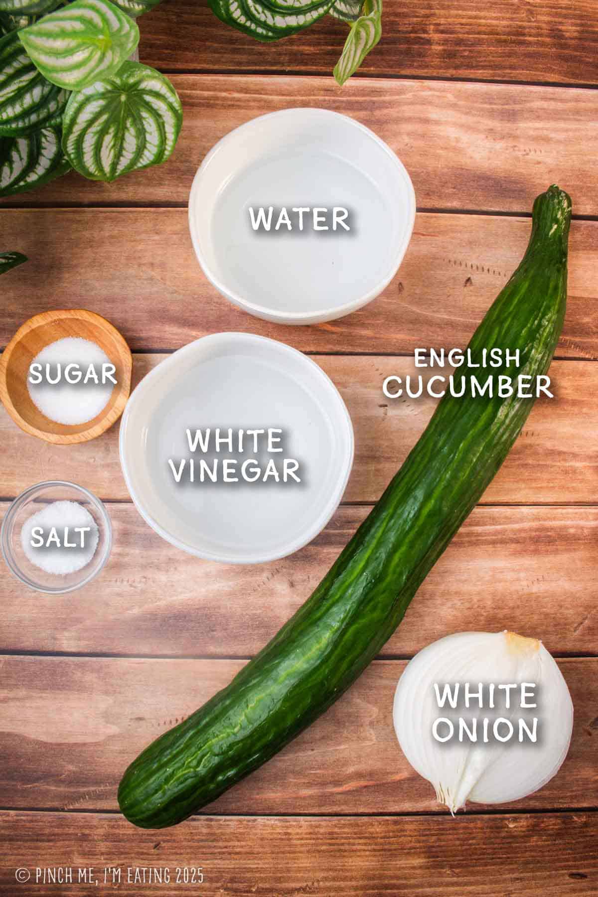 Labeled ingredient photo including cucumber, onion, vinegar, water, salt, and sugar.